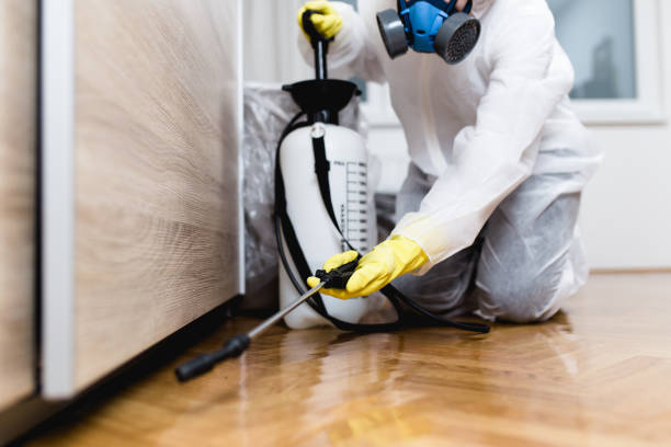 Best Best Pest Control Companies  in Merritt Park, NY