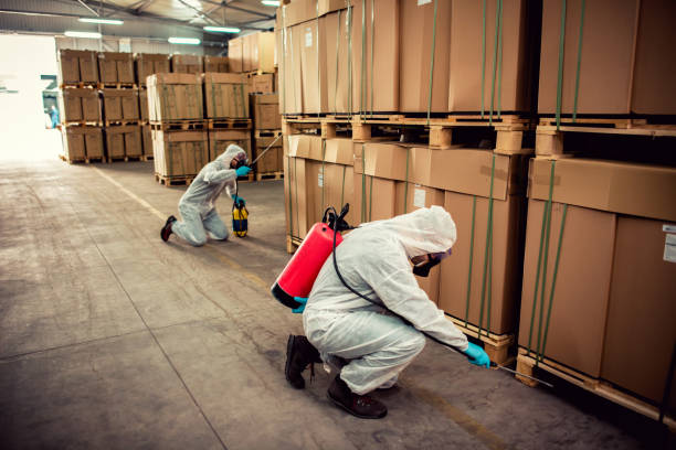Professional Pest Control in Merritt Park, NY