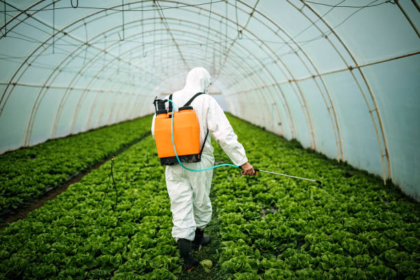 Best Local Pest Control Services  in Merritt Park, NY