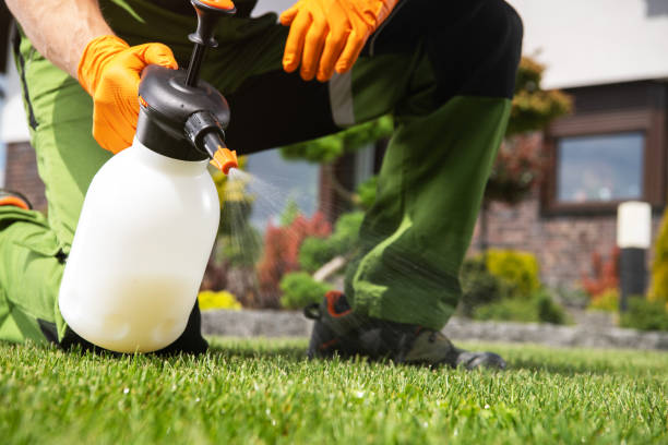 Best Emergency Pest Control  in Merritt Park, NY