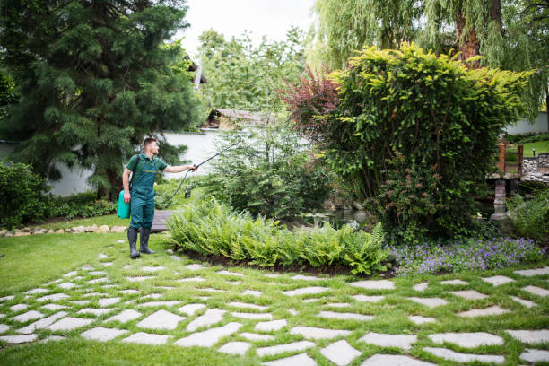 Best Termite Control Services  in Merritt Park, NY