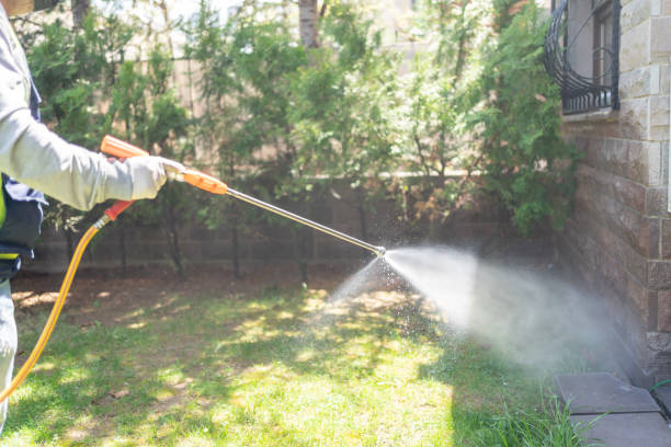 Best Cockroach Control Services  in Merritt Park, NY