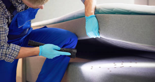 Best Emergency Pest Control  in Merritt Park, NY