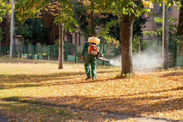 Best Flea Control Services  in Merritt Park, NY