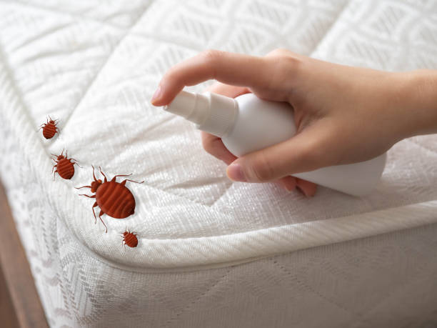 Best Pest Control for Businesses  in Merritt Park, NY