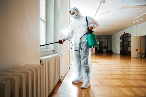 Best Affordable Pest Control Services  in Merritt Park, NY