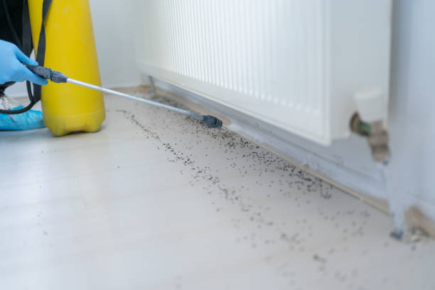 Best Ant Control Services  in Merritt Park, NY