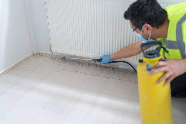 Best Affordable Pest Control Services  in Merritt Park, NY