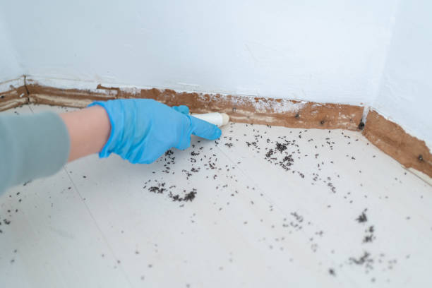 Best Mosquito Control Services  in Merritt Park, NY