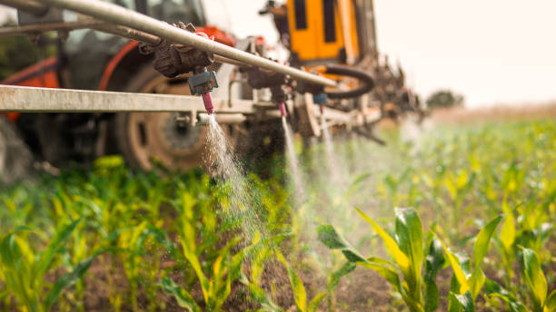Best Ant Control Services  in Merritt Park, NY