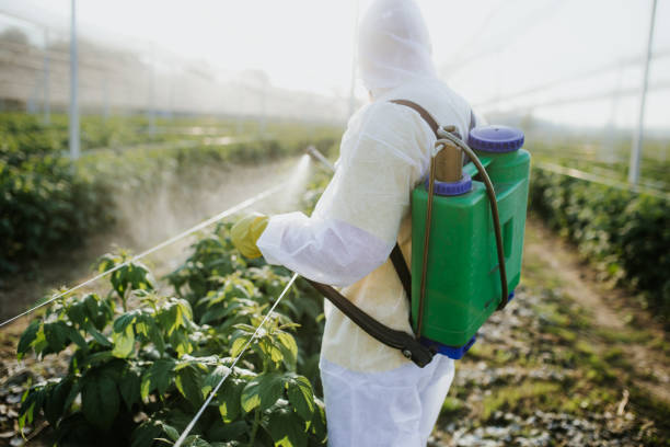 Best Local Pest Control Services  in Merritt Park, NY